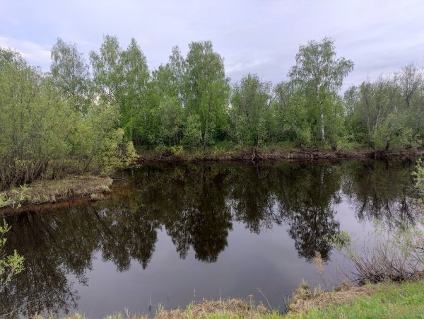 Озеро Старица Омская область