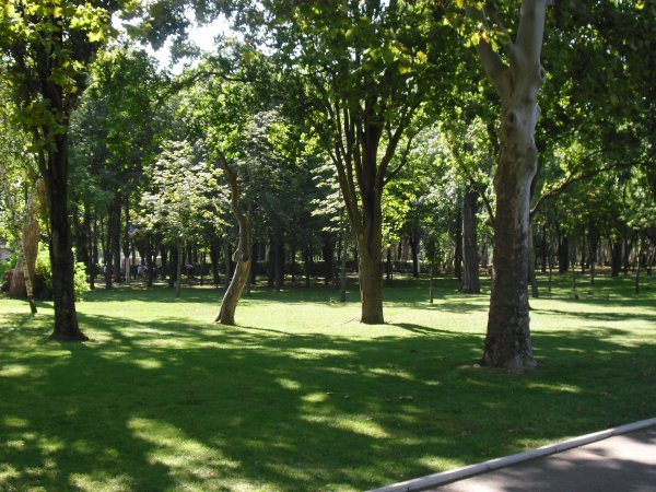 Краснодарский лесопарк