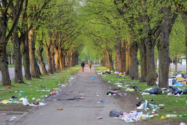 Мусор в парке