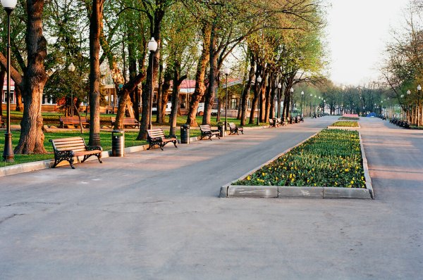 Чистые улицы города