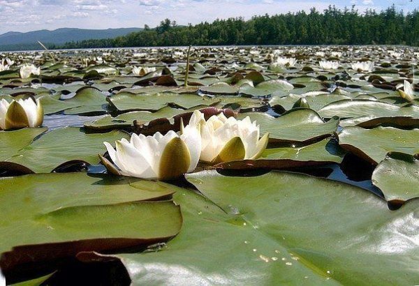 АЗАС озеро Тыва