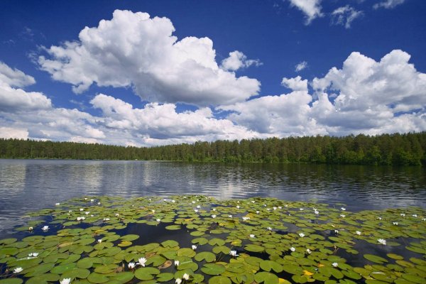 Тожу кожуун озеро АЗАС