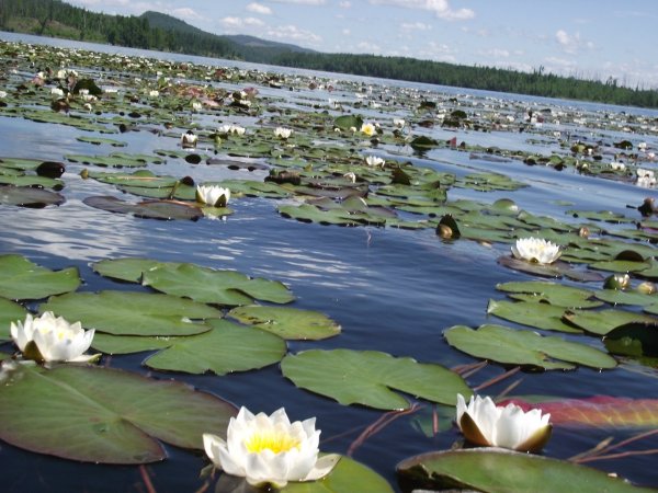 АЗАС озеро Тыва