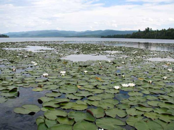 АЗАС озеро Тыва