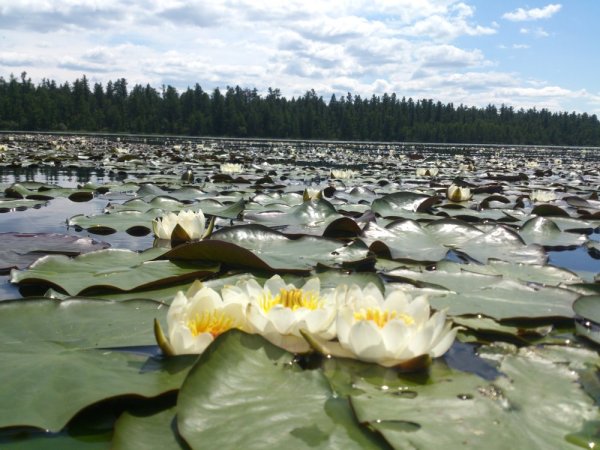 Озера АЗАС В Туве