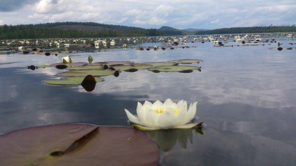 Озеро АЗАС Жемчужина Тувы