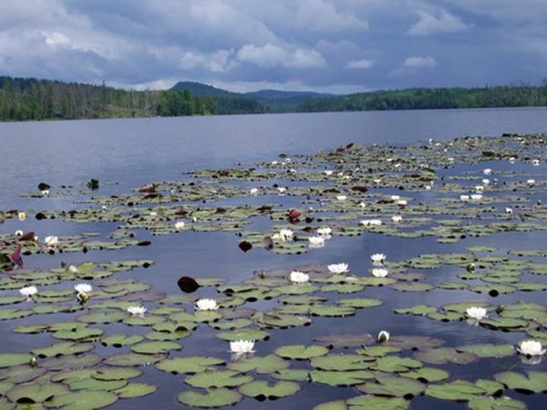 Озеро АЗАС Жемчужина Тувы
