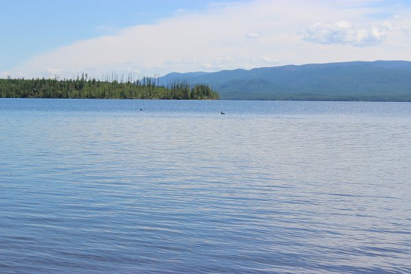 Заповедник АЗАС Тыва