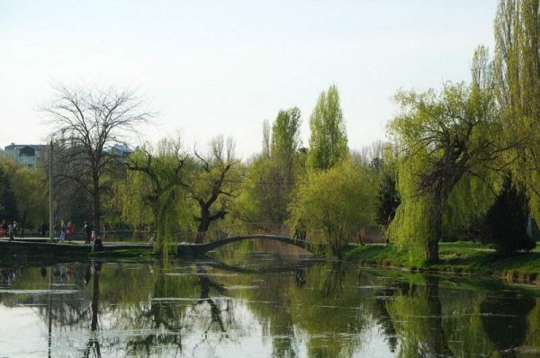 Гагаринский парк Симферополь пруд