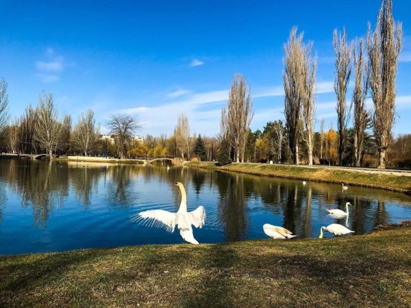 Парк имени Юрия Гагарина (Симферополь)