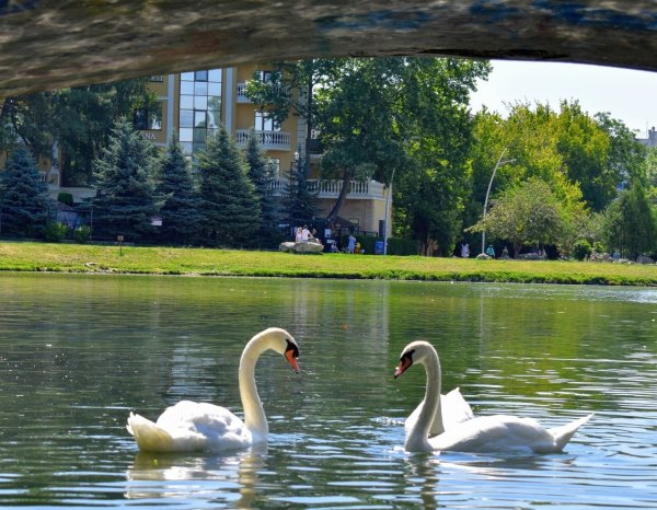 Гагаринский парк Симферополь