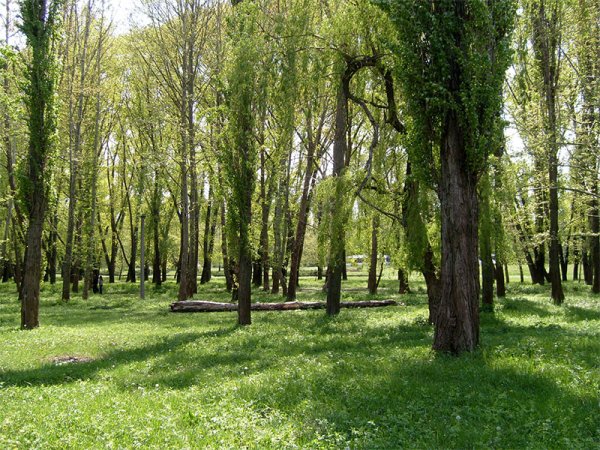 Парк имени Гагарина Симферополь