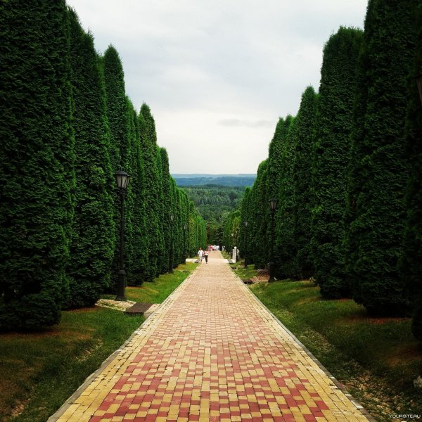 Курортный парк Кисловодск