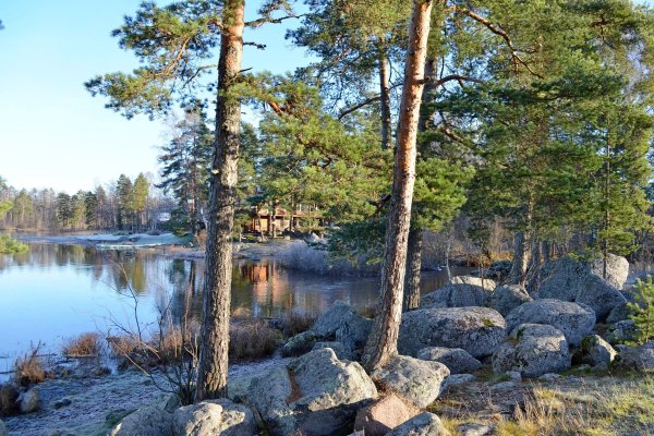 Майоров остров поселок Мельниково