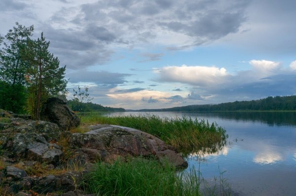 Остров Олений Вуокса