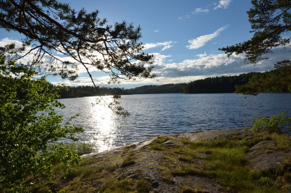 Острова Вуоксы Приозерск