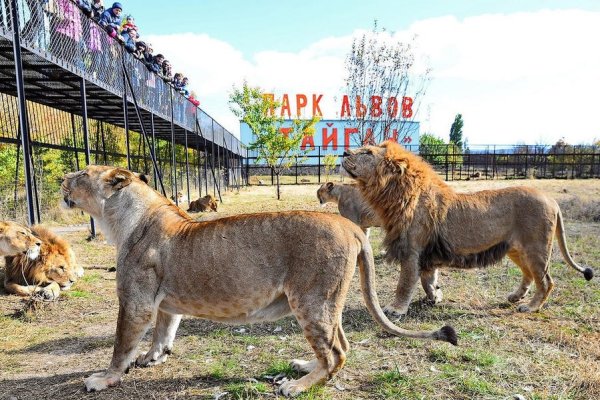 Тайган сафари парк в Крыму