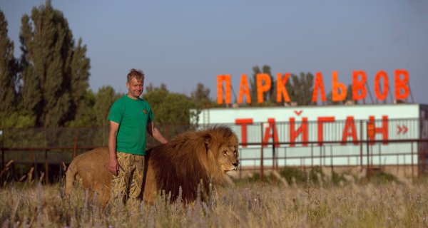 Парк Львов Тайган, Белогорск