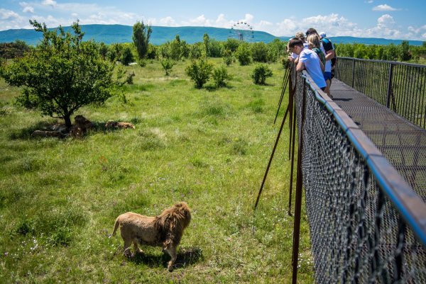 Тайган сафари парк в Крыму