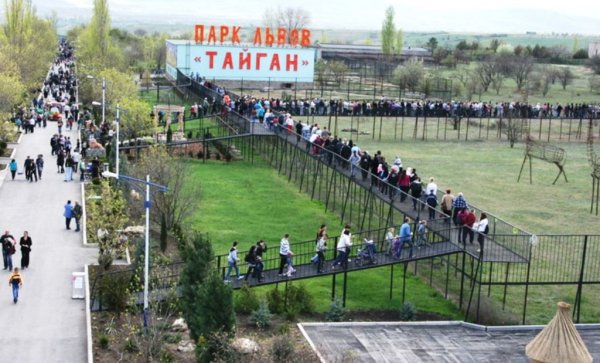 Парк Львов Тайган, Белогорск