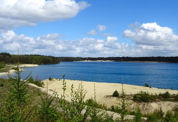 Озеро Каташи Кобринский район Брестская область