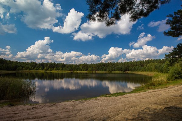 Бамовское озеро Кобринский район
