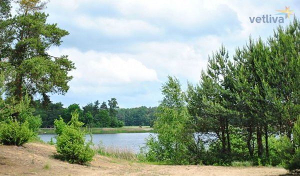 Деревня Каташи Брестская область достопримечательности