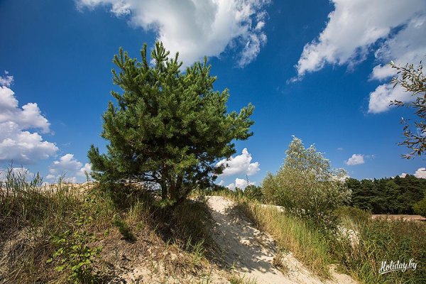 Хутор Каташи