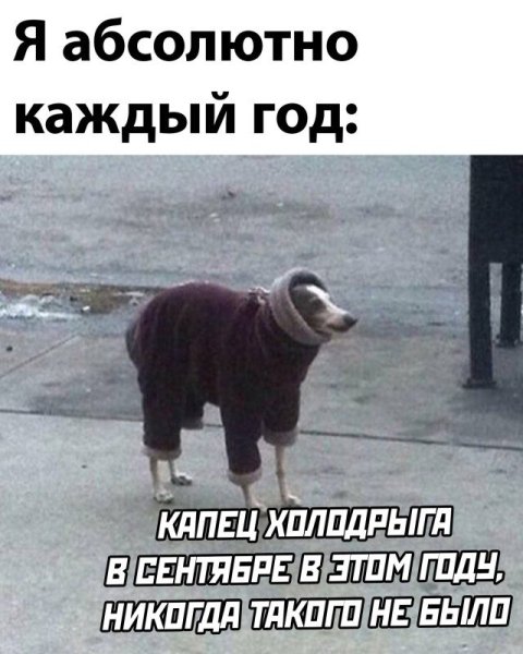 Капец картинки прикольные