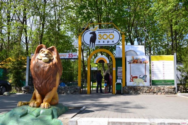 Парк Белинского вход