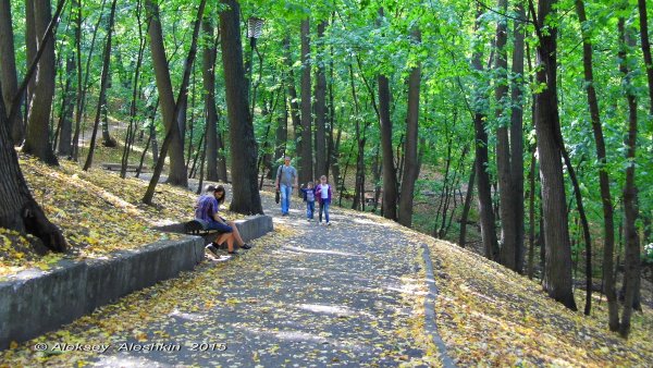 Парк Белинского Пенза