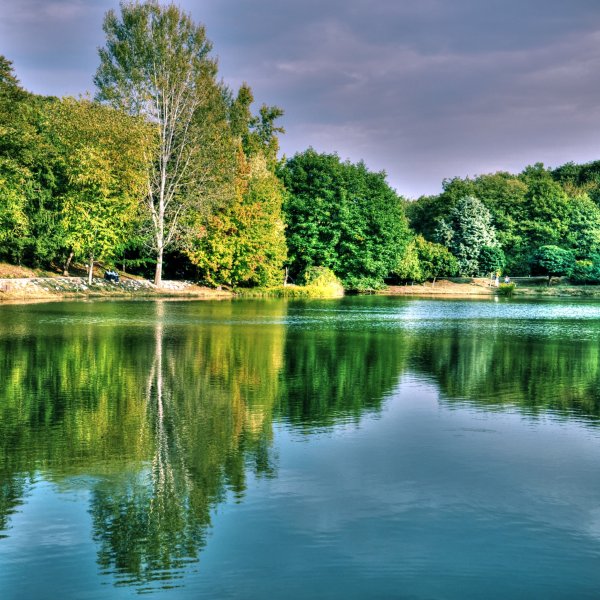 Лесное озеро (Forest Lake)