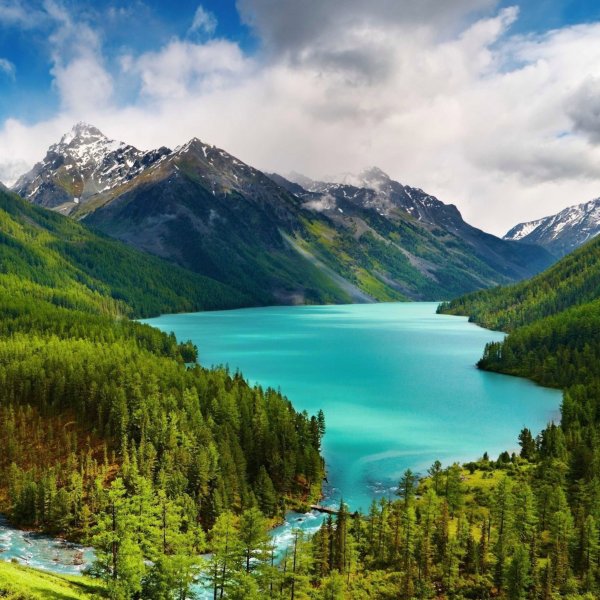 Фон природа