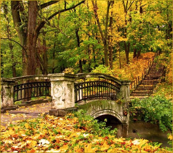 Центральный парк Калининграда мостики