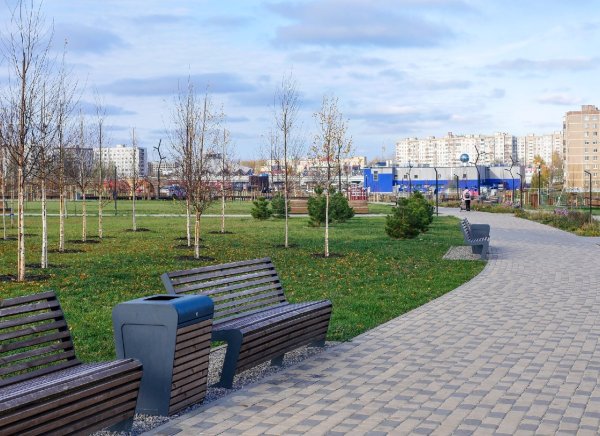 Парк зеленый Лог старый Оскол