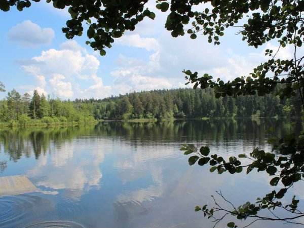 Нарочанский заповедник