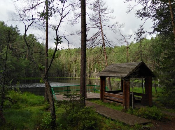 Экотропа голубые озера в нацпарке Нарочанский