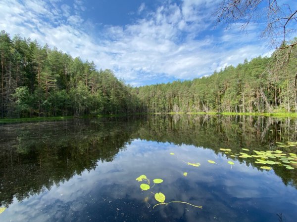 Нарочанский парк голубые озера