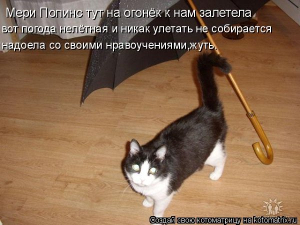 Приколы про нелетную погоду