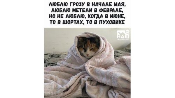 Доброе утро нелетная погода