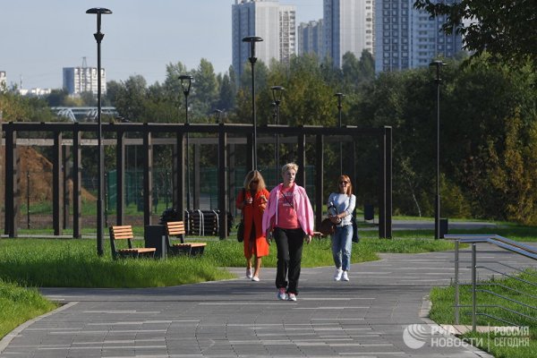 Проект парка Печатники