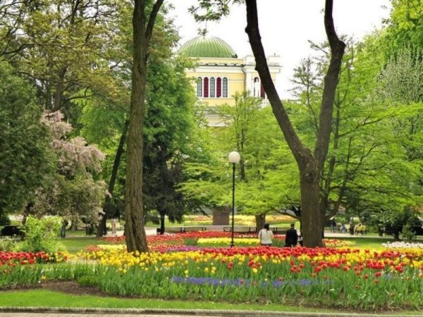 Гомель парк