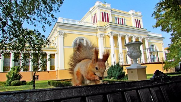 Гомельский Центральный парк