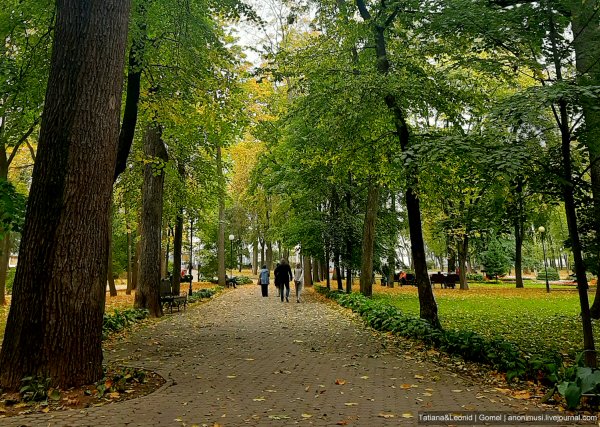 Гомель парк