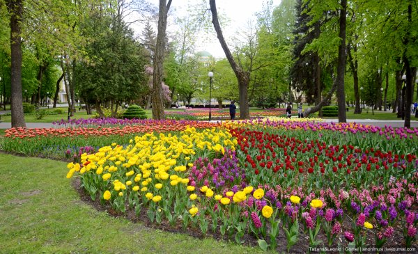 Городской парк в Гомеле