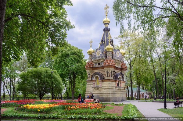 Беларусь город Гомель парк