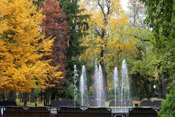Гомель парк Луначарского