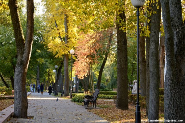 Гомель осень фото