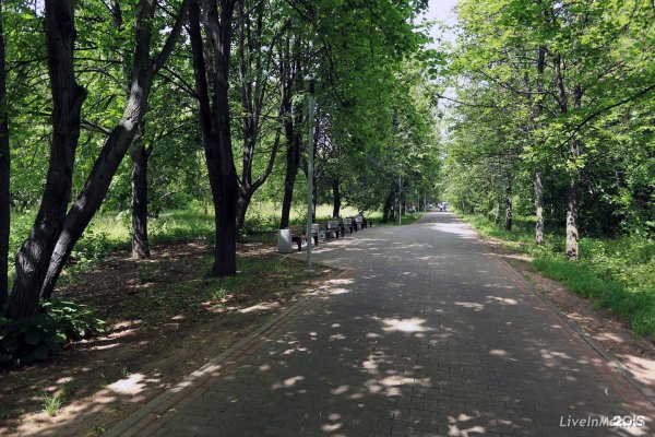 Парк Северное Тушино