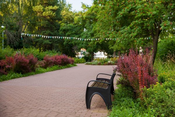 Парк Южное Тушино